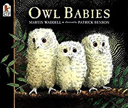Owl Owl Babies by Martin Waddell and Patrick Benson